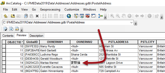 Viewing encoding in ArcCatalog