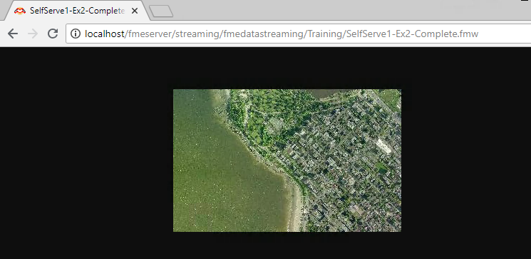 Viewing the results in a browser