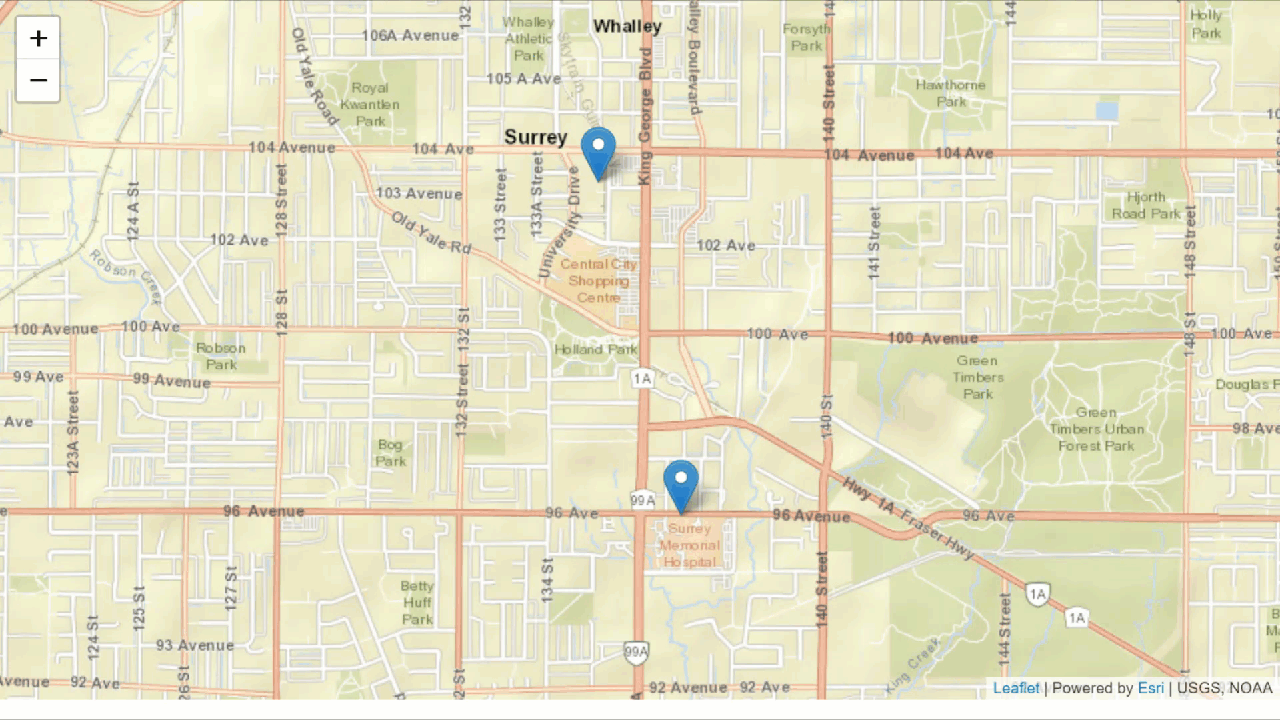 Shortest path results on a web map