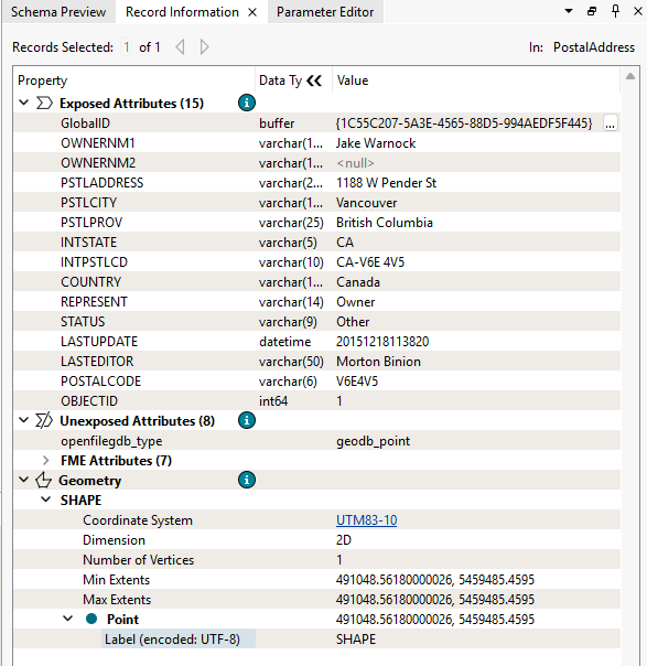 Record Information Window