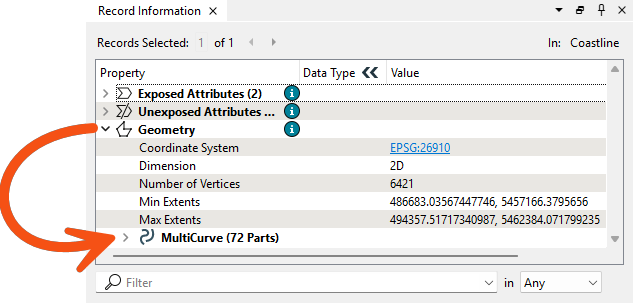 Expanding Geometry to see MultiCurve in the Record Information Window